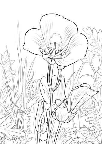 Sego Lily Coloring Page